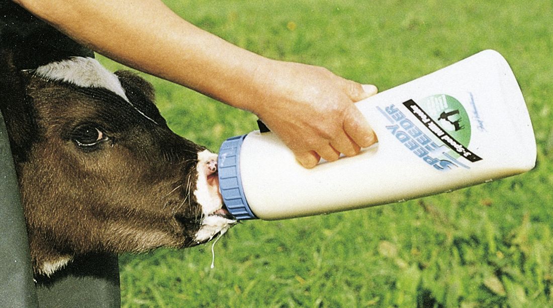 KERBL Kälberflasche "Speedy Feeder" 2,5 l, 1422