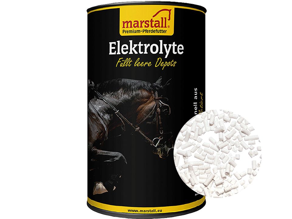 marstall Elektrolyte für Pferde 1 kg Dose