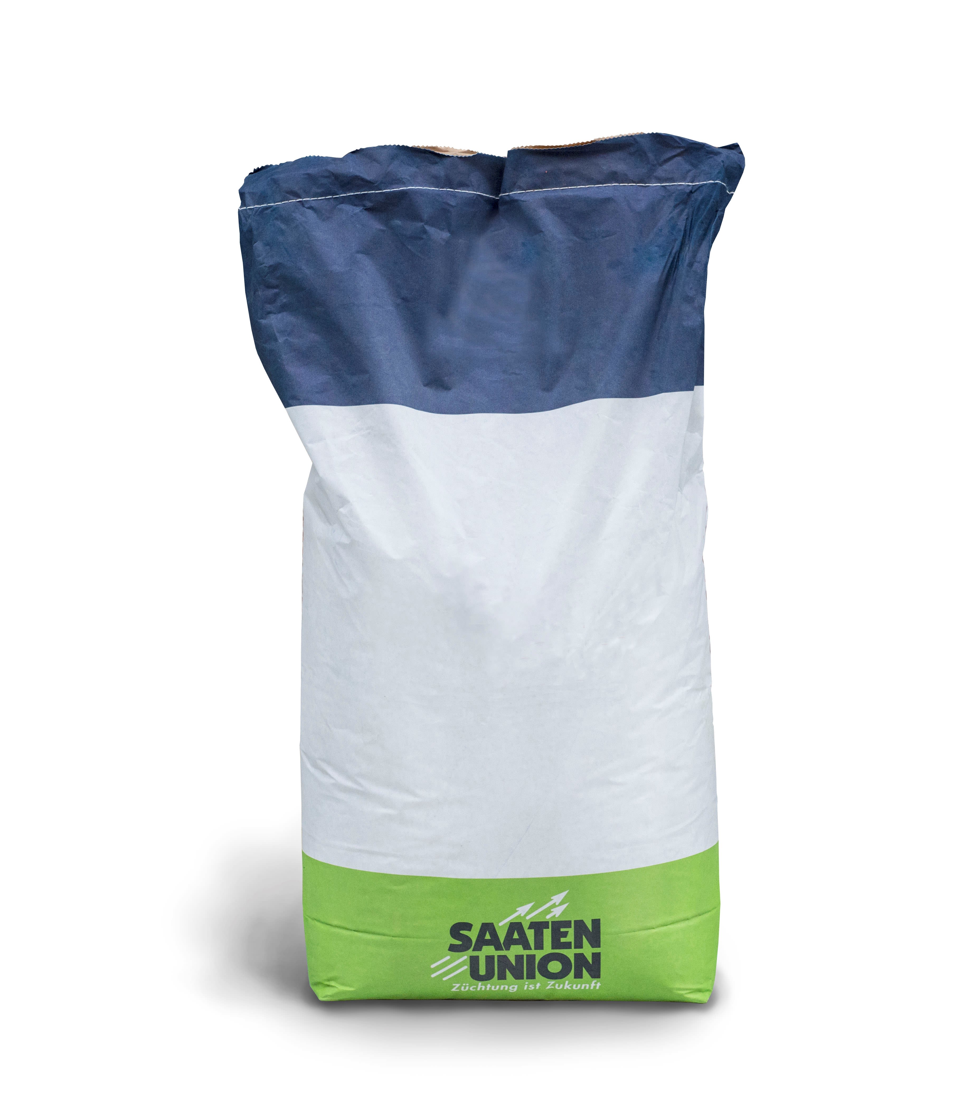 Mais-Saatgut Saaten Union WESLEY Redigo M 50000 Körner/EH (S 210; K 240)