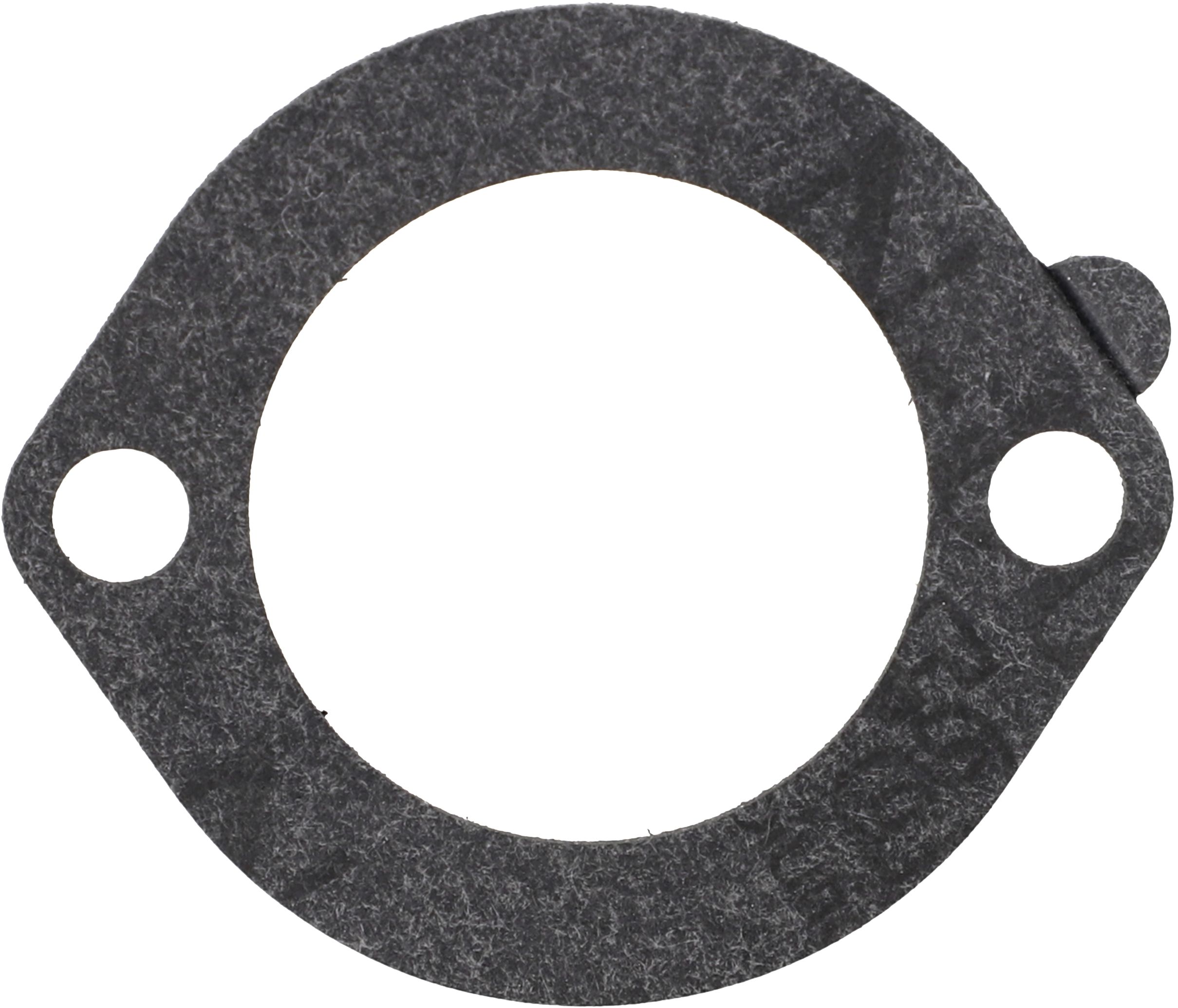 Briggs & Stratton Luftfilterdichtung, 271935S