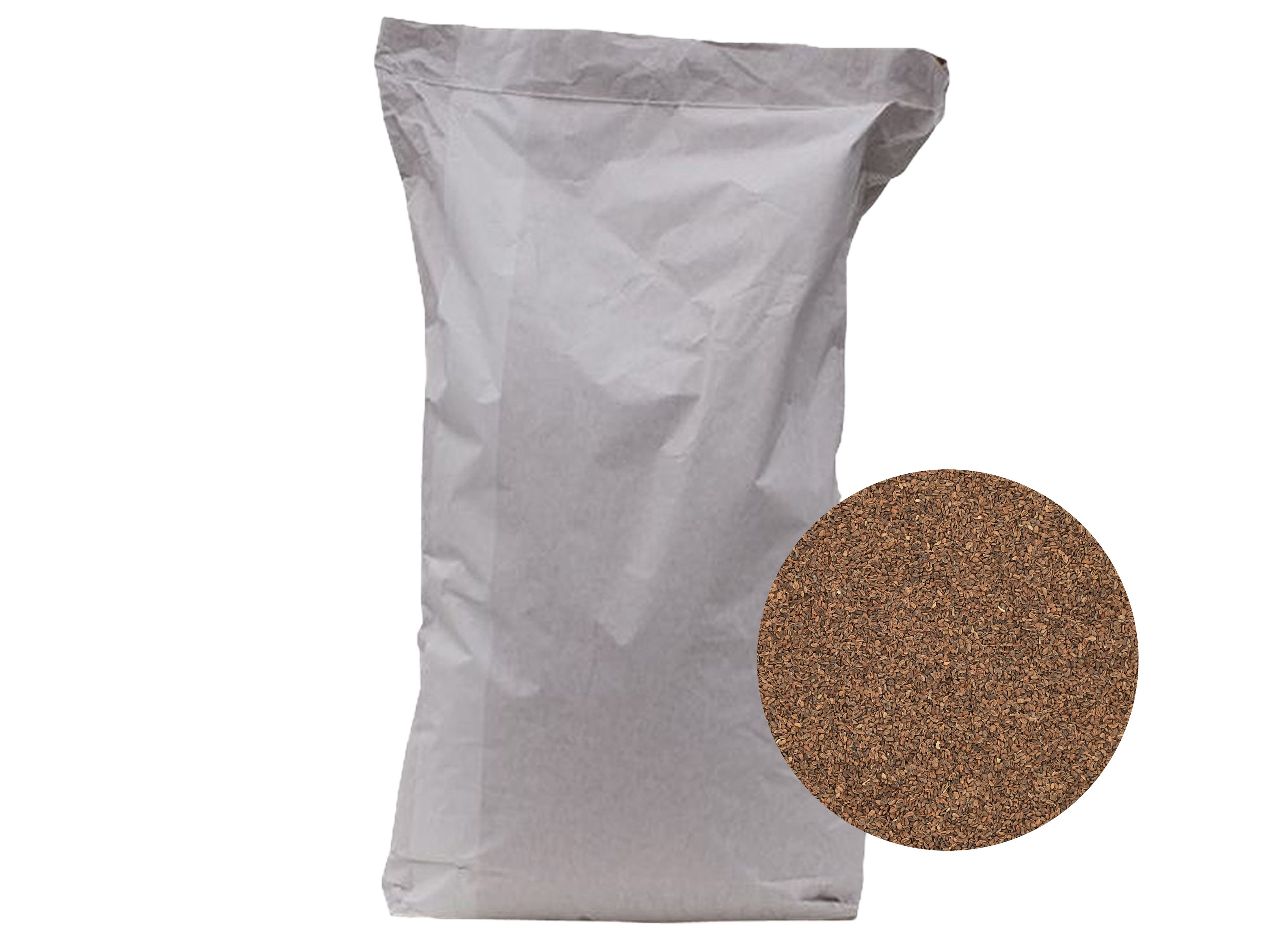 Phacelia Samen Stala ZS ungebeizt 25 kg Sack