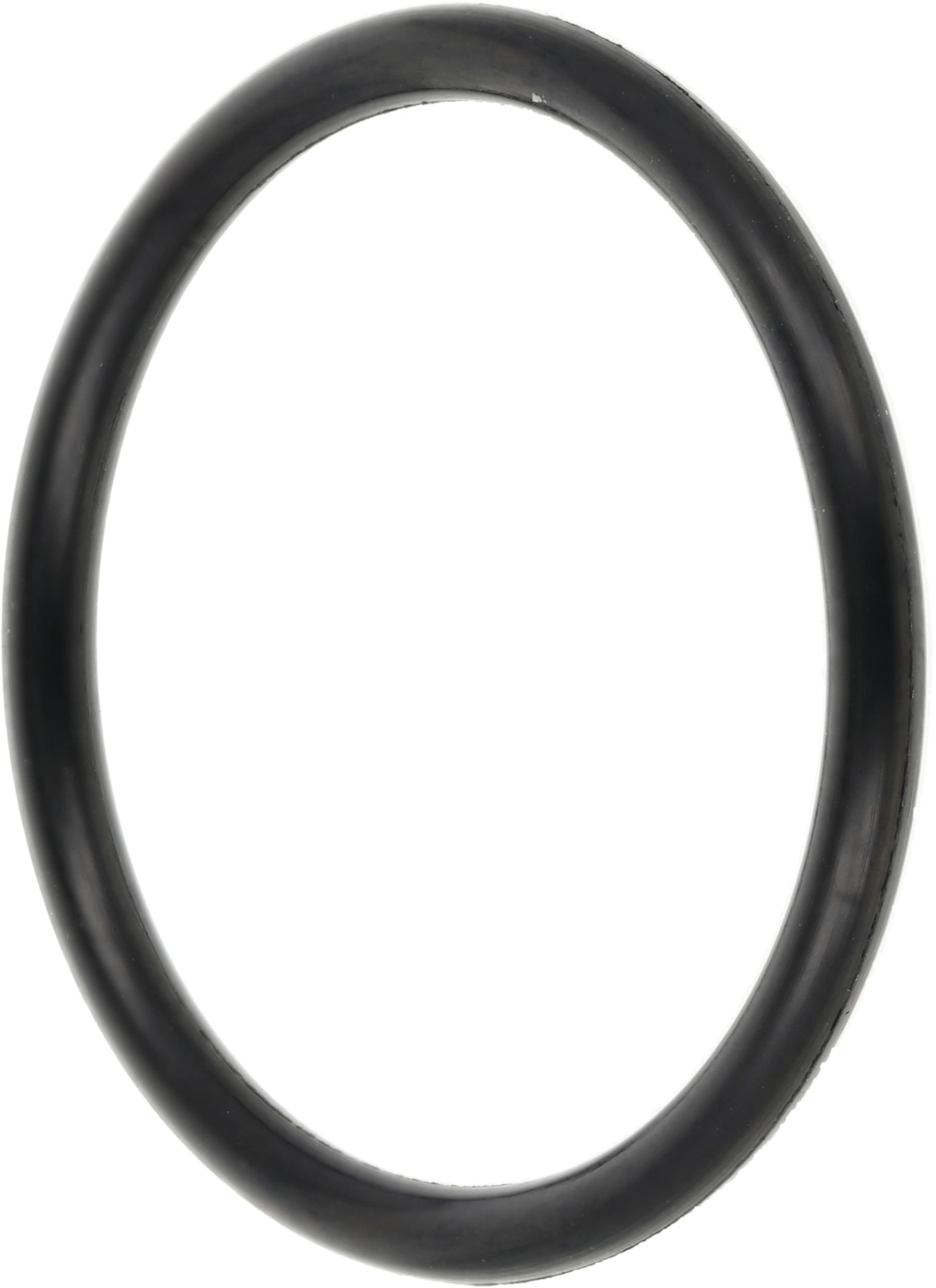 Rau O-Ring 22 x 2 mm NBR, für Druckregeler Telemat Feldspritze, RG00013997