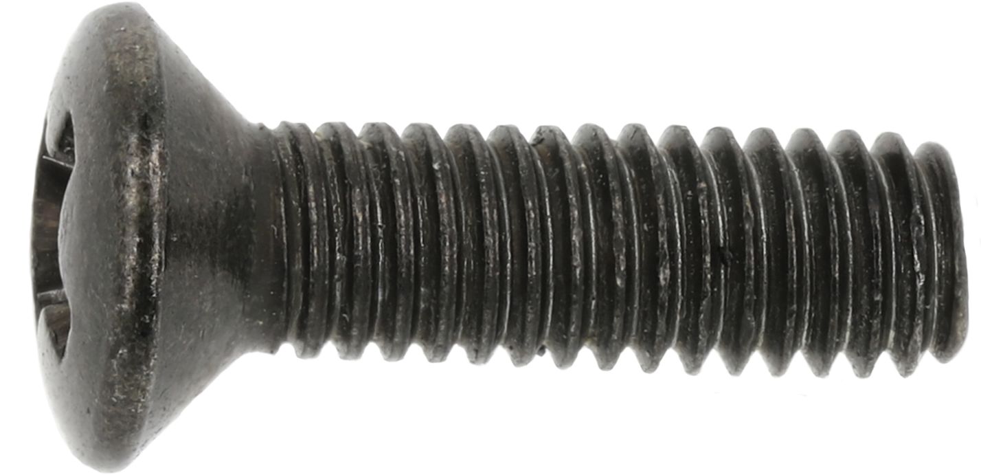 Fendt Linsensenkschraube DIN 603 M 3 x 10 mm - 4.8, Stahl, verzinkt matt (A3R), X492013001000