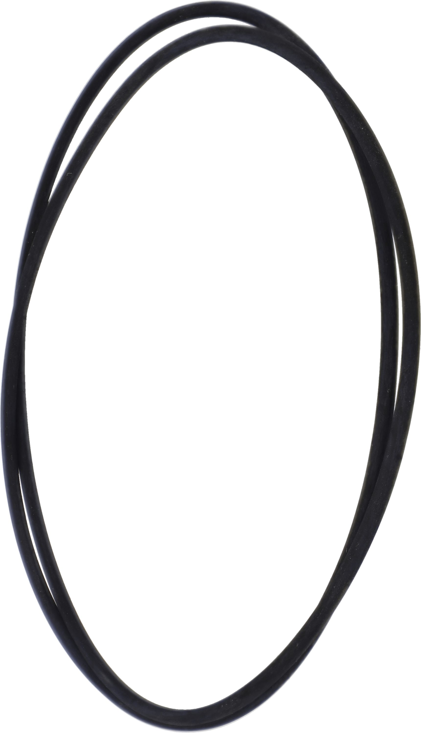 Fendt O-Ring 170 x 2 mm, für Endantrieb Hinterachse Traktor Fendt, Massey Ferguson, Valtra, X549024000000