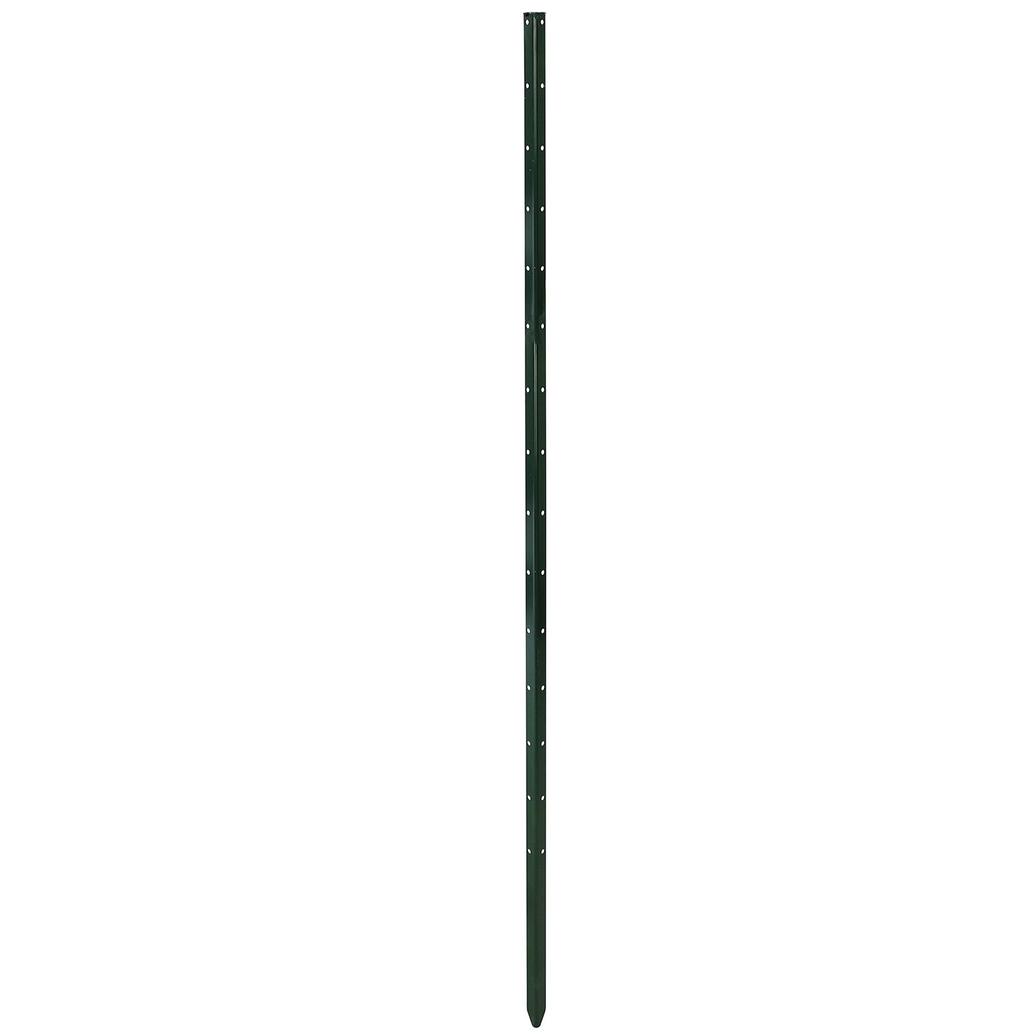 bellissa Pflanzstab "Timo" 150 cm, Stahl verzinkt; pulverbeschichtet, 93882