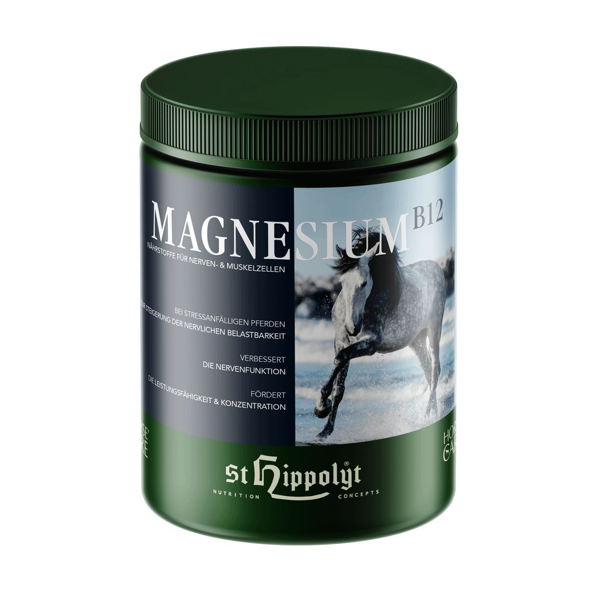 St. Hippolyt Magnesium B12 mit Biotin und Kräutern 1 kg Dose