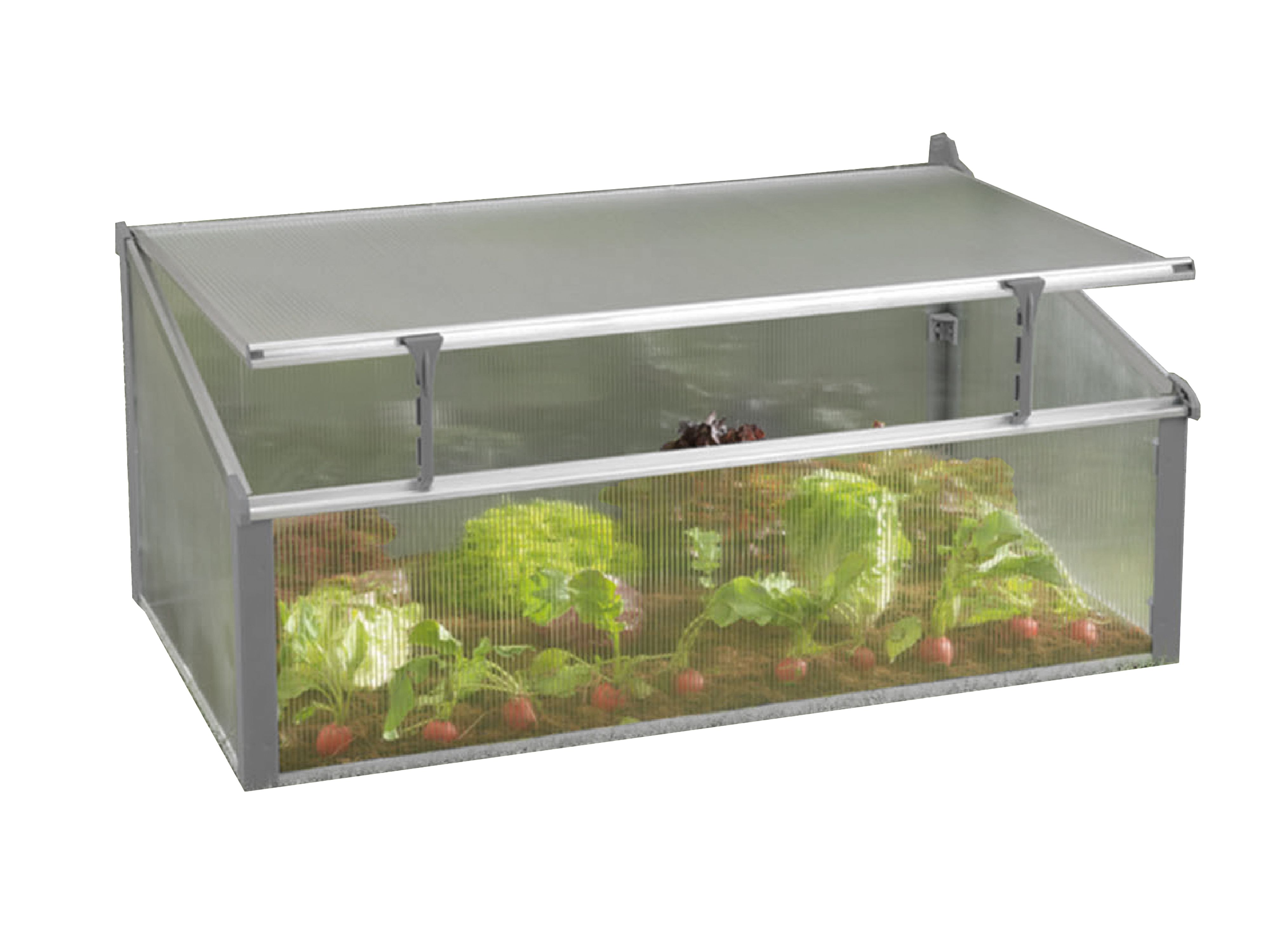 JUWEL Komfort Frühbeet 100 x 60 x 40 cm Typ Easy Fix transparent