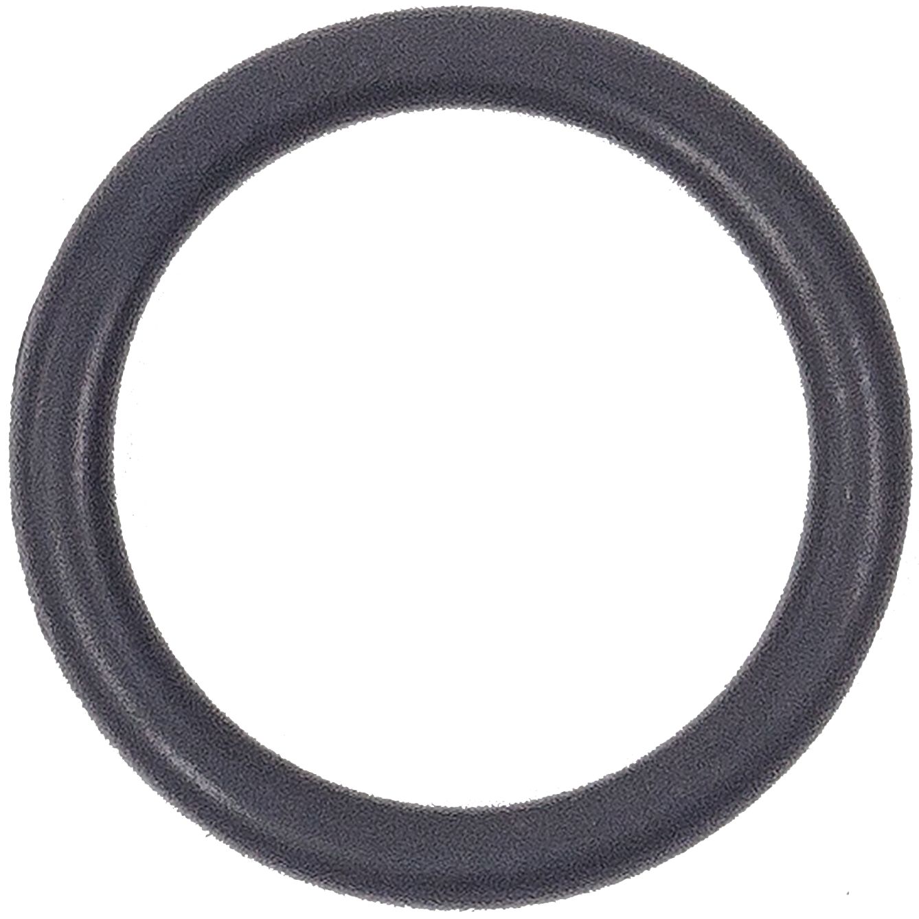 Agrotop O-Ring 11,89 x 2,62 mm, für Kolbenmembranpumpe AR, AR bp, 12301