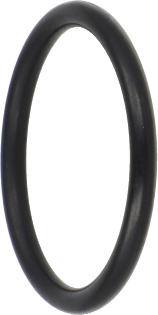 Fendt O-Ring 24 x 1,5 mm, NBR 70, für Traktor Fendt, Massey Ferguson, Valtra, Feldhäcksler Fendt, X548871466000
