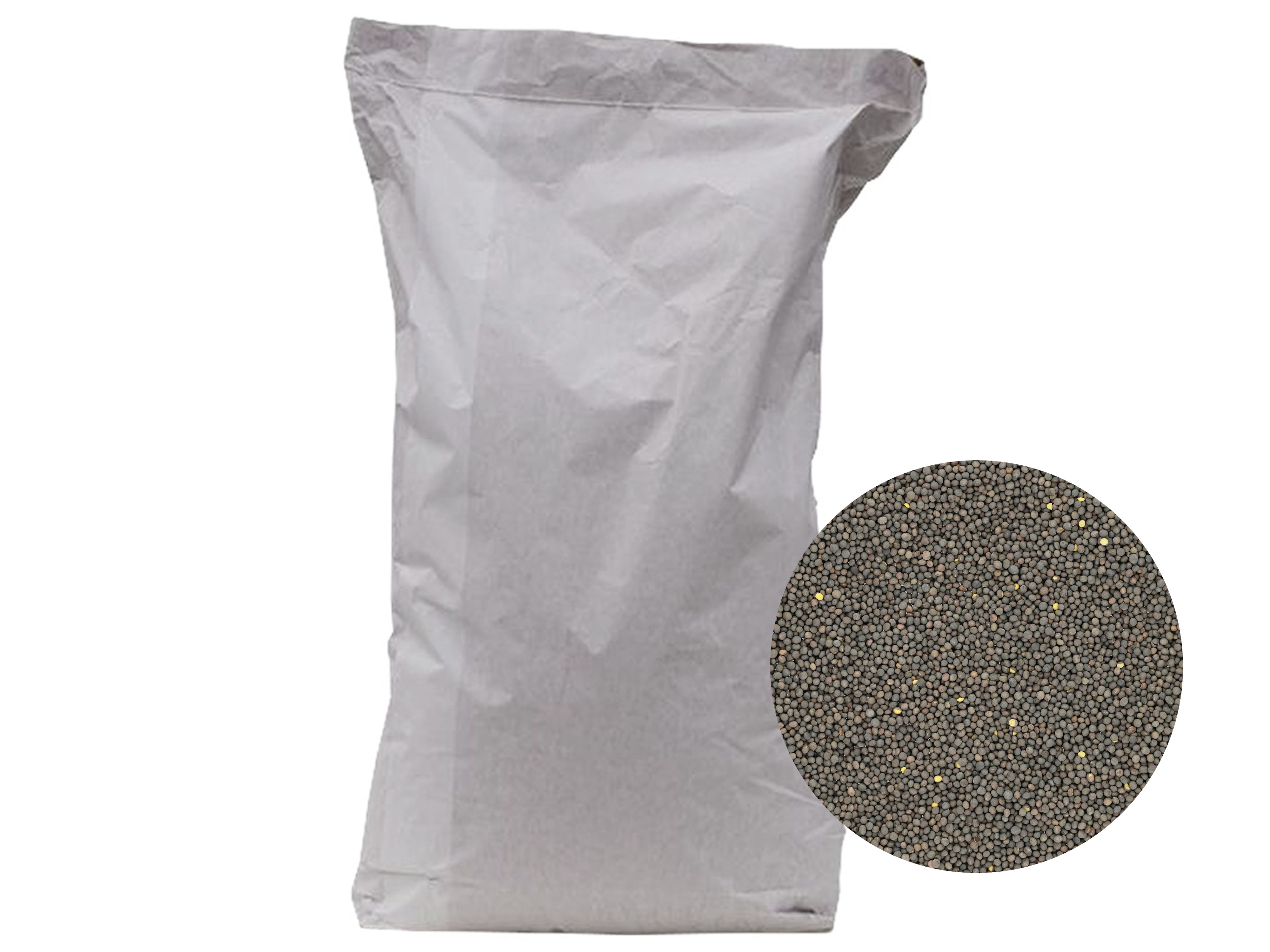 Winterwicke Saatgut Ascasubi Inta ZS ungebeizt 25 kg Sack