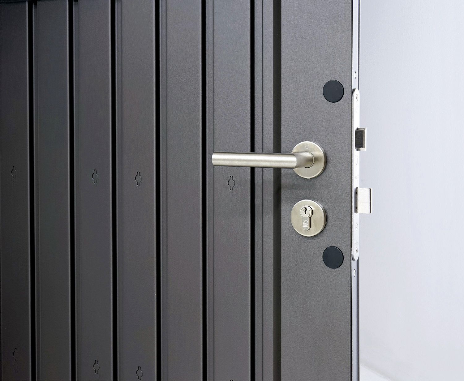 Biohort Gerätehaus HighLine H4 275 x 275 cm silber; metallic Standardtür