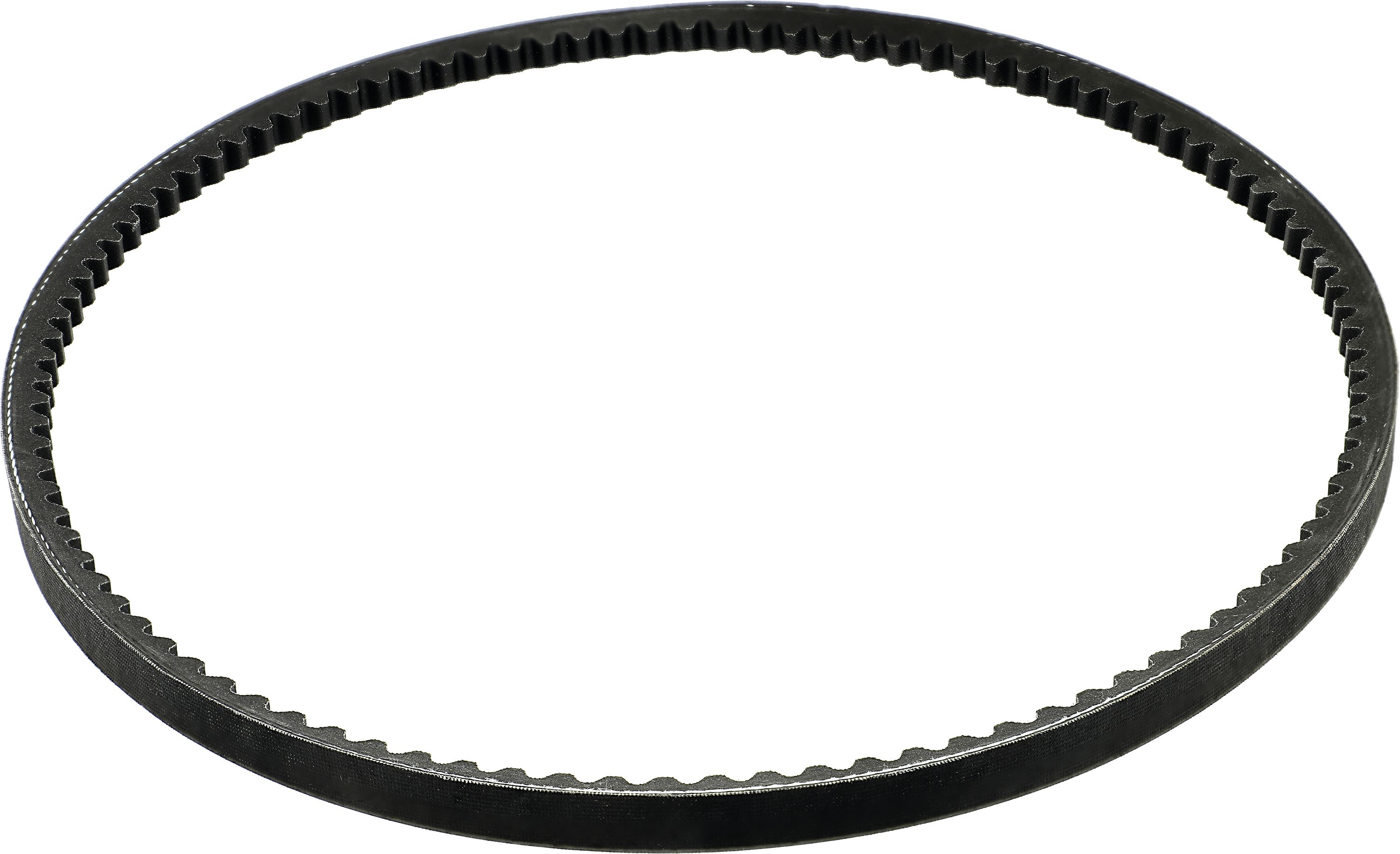 Maschio Keilriemen SPBX 1260 für Mulchgerät Bella 135, 155, 170, 190, F06010038R