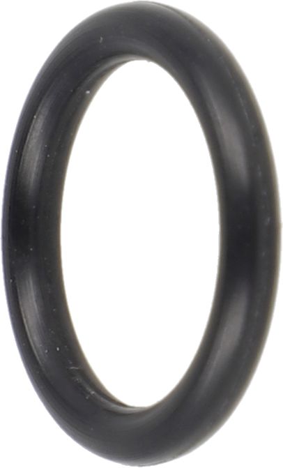 Solo O-Ring 12 x 2 mm NBR, für Sprühgerät, 10626