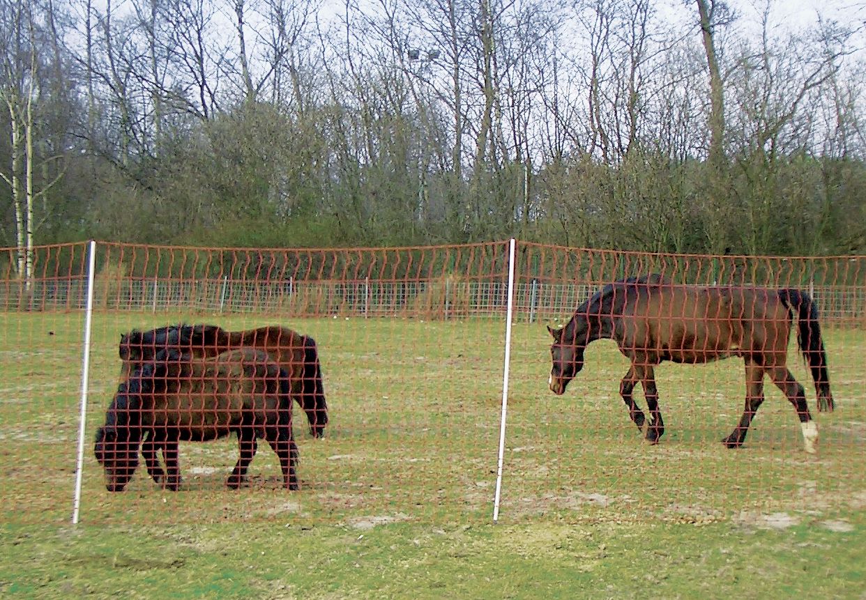 Pferdezaun "Euro Mustang Netz" 170 cm/25 m, stromführend, 10377