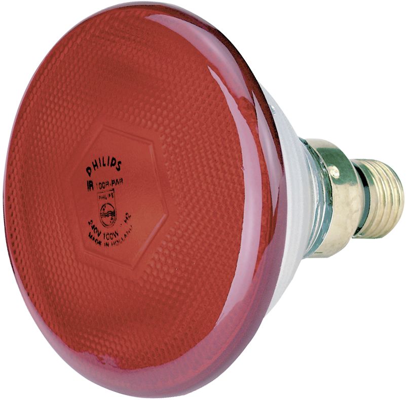 Philips Wärmelampe 100 W Stromsparversion, 22302