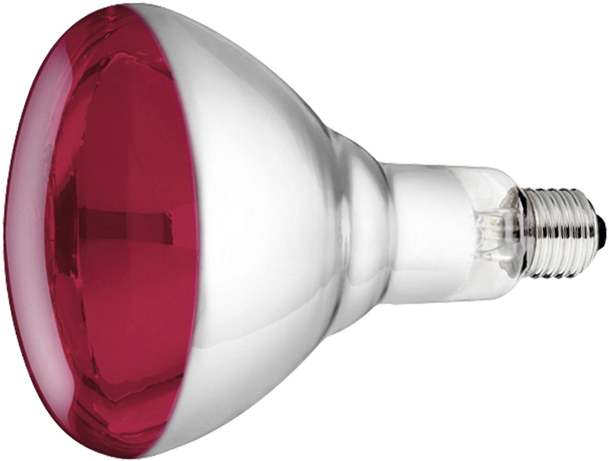 Philips Wärmelampe 250 W Hartglas, 22314