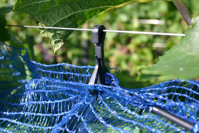 REMA Netzhalter 500 Stück