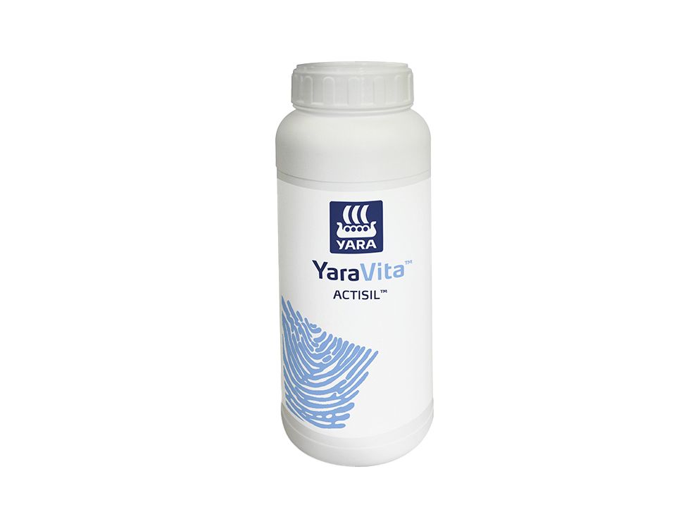 YARA YaraVita Actisil 1 l Flasche flüssig