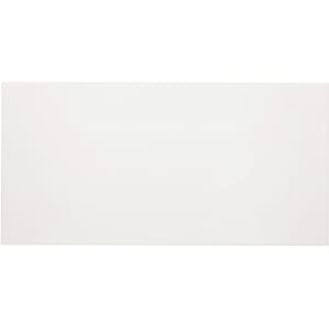 Agrob 203265 Basis 1 weiß matt 300x600x6mm