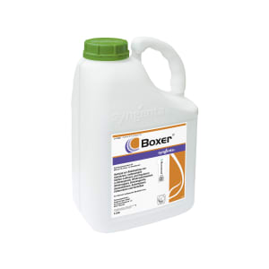 Syngenta BOXER 5 l Kanister Syngenta BOXER 5 l Kanister