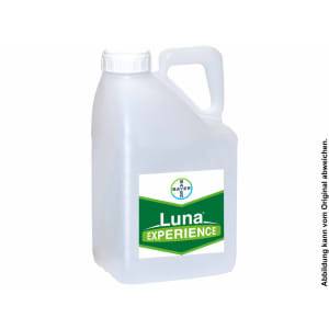 Bayer Luna Experience 5 l Kanister