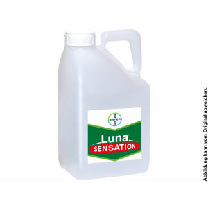 Bayer Luna Sensation 5 l Kanister Bayer Luna Sensation 5 l Kanister