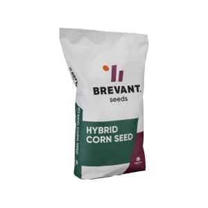 Mais-Saatgut Brevant DS1890B Sack LumiGEN Premium Birdrepellent (ca. S240 ca. K250) Mais-Saatgut Brevant DS1890B Sack LumiGEN Premium Birdrepellent (ca. S240 ca. K250)