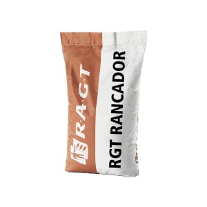 Mais-Saatgut RGT RANCADOR Bio ungebeizt 50000 Körner/EH (S 210; K 220) Mais-Saatgut RGT RANCADOR Bio ungebeizt 50000 Körner/EH (S 210; K 220)