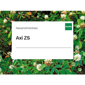 Alexandrinerklee Saatgut Axi ZS 25 kg Sack