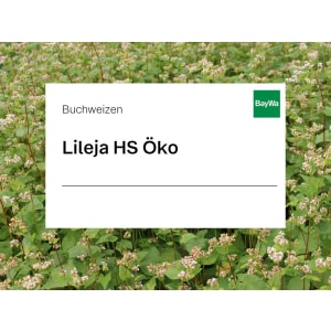 Buchweizen Saatgut Lileja HS Bio 25 kg Sack