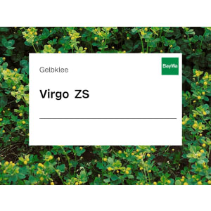 Gelbklee Saatgut Virgo ZS ungebeizt 25 kg Sack