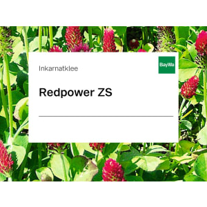 Inkarnatklee Saatgut Redpower ZS ungebeizt 25 kg Sack