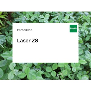 Perserklee Saatgut Laser ZS 25 kg Sack