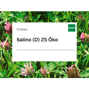 Rotklee Samen Salino (diploid) ZS Bio 10 kg Sack