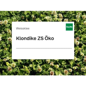 Weissklee Saatgut Klondike ZS Bio 25 kg Sack