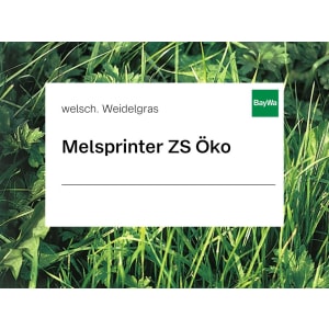 Welsches Weidelgras Saatgut Melsprinter tetraploid ZS Bio 25 kg Sack