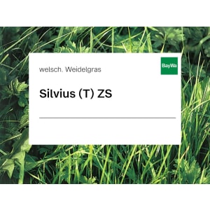 Welsches Weidelgras Saatgut Silvius (tetraploid) ZS 25 kg Sack