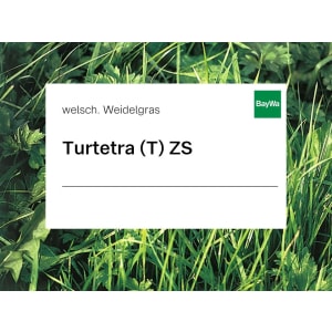 Welsches Weidelgras Saatgut Turtetra tetraploid ZS ungebeizt 25 kg Sack