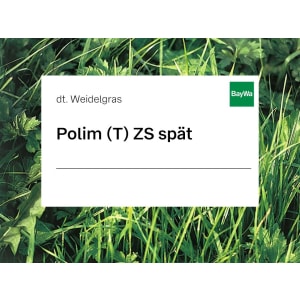 Deutsches Weidelgras Saatgut Polim tetraploid spät ZS 25 kg Sack