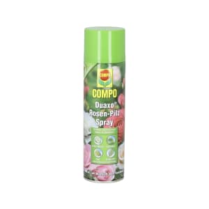 COMPO Duaxo Rosen-Pilz Spray 400 ml Dose