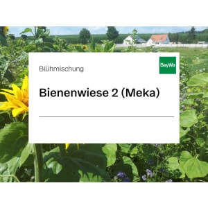 Freudenberger Bienenwiese 2 (Meka) einjährige leguminosenfreie Blühmischung 10 kg Sack Freudenberger Bienenwiese 2 (Meka) einjährige leguminosenfreie Blühmischung 10 kg Sack