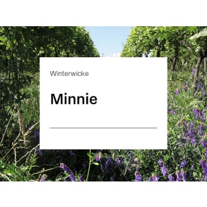 Winterwicken Saatgut Minnie ZS 25 kg Sack