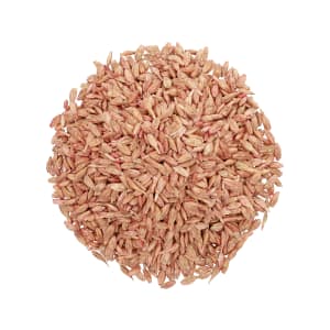 Dinkel Saatgut Franckenkorn ZS (ohne Spelz) Celest Extra Sack 500.000 Körner/EH Dinkel Saatgut Franckenkorn ZS (ohne Spelz) Celest Extra Sack 500.000 Körner/EH