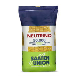 Mais-Saatgut Saaten Union NEUTRINO Redigo M 50000 Körner/EH (S 240) Mais-Saatgut Saaten Union NEUTRINO Redigo M 50000 Körner/EH (S 240)