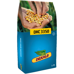 Mais-Saatgut Dekalb DKC 3350 Bio ungebeizt 50000 Körner/EH (S 250; K 250) Mais-Saatgut Dekalb DKC 3350 Bio ungebeizt 50000 Körner/EH (S 250; K 250)