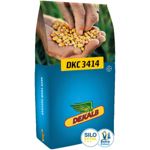 Mais-Saatgut Dekalb DKC 3414 (S 250 ca. K 240)