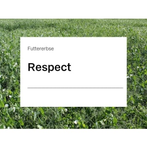 Futtererbse Respect ZS ungebeizt 50 kg Sack