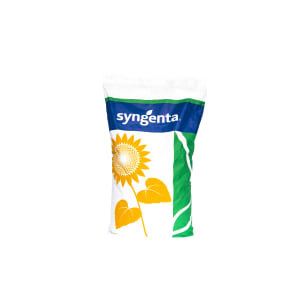 Sonnenblume Syngenta Suomi