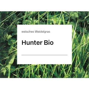 Welsches Weidelgras Saatgut Hunter (tetraploid) ZS Bio 25 kg Sack