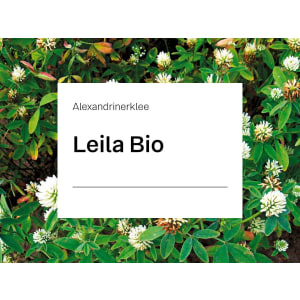 Alexandrinerklee Saatgut Leila ZS Bio 25 kg Sack